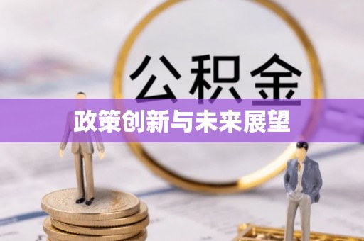 连南政策创新与未来展望