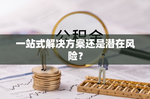 连南一站式解决方案还是潜在风险？