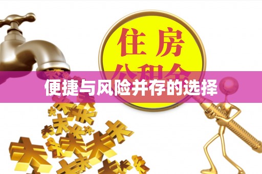 连南便捷与风险并存的选择