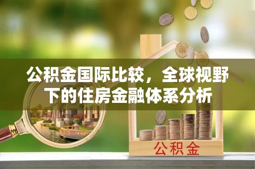 连南公积金国际比较，全球视野下的住房金融体系分析