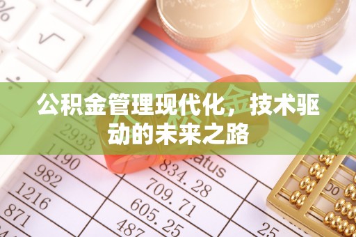 连南公积金管理现代化，技术驱动的未来之路