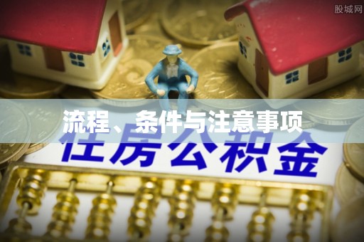 连南流程、条件与注意事项